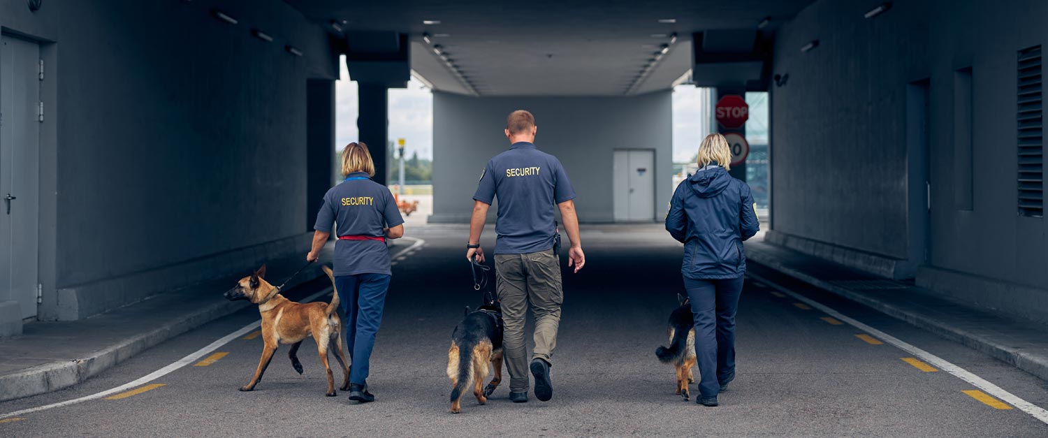 hire qualified dog security handlers